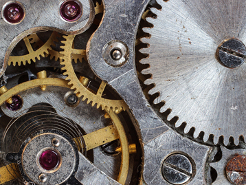 輸送鏈條的構(gòu)造是如何形成的呢